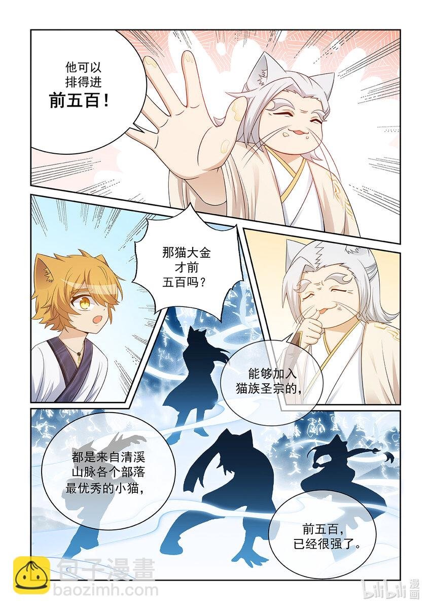 第028话 猫元师兄？