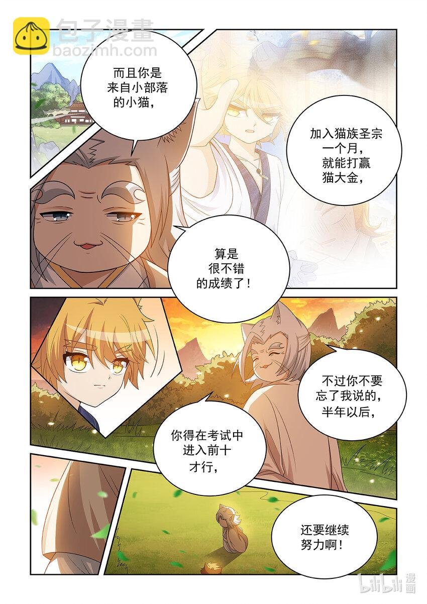 第028话 猫元师兄？