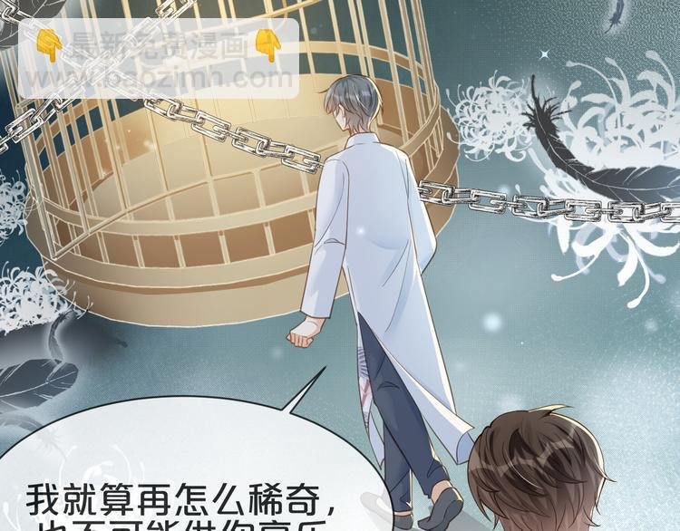 第15话 小鸡啄米