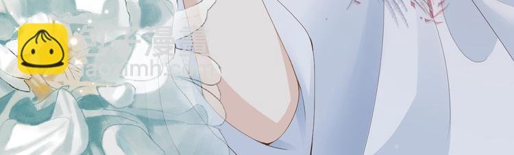 第15话 小鸡啄米