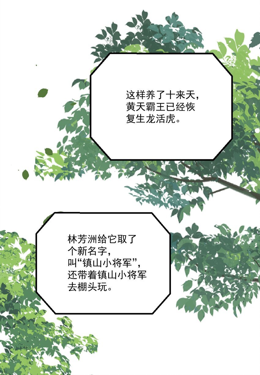 025 想要？自己来取