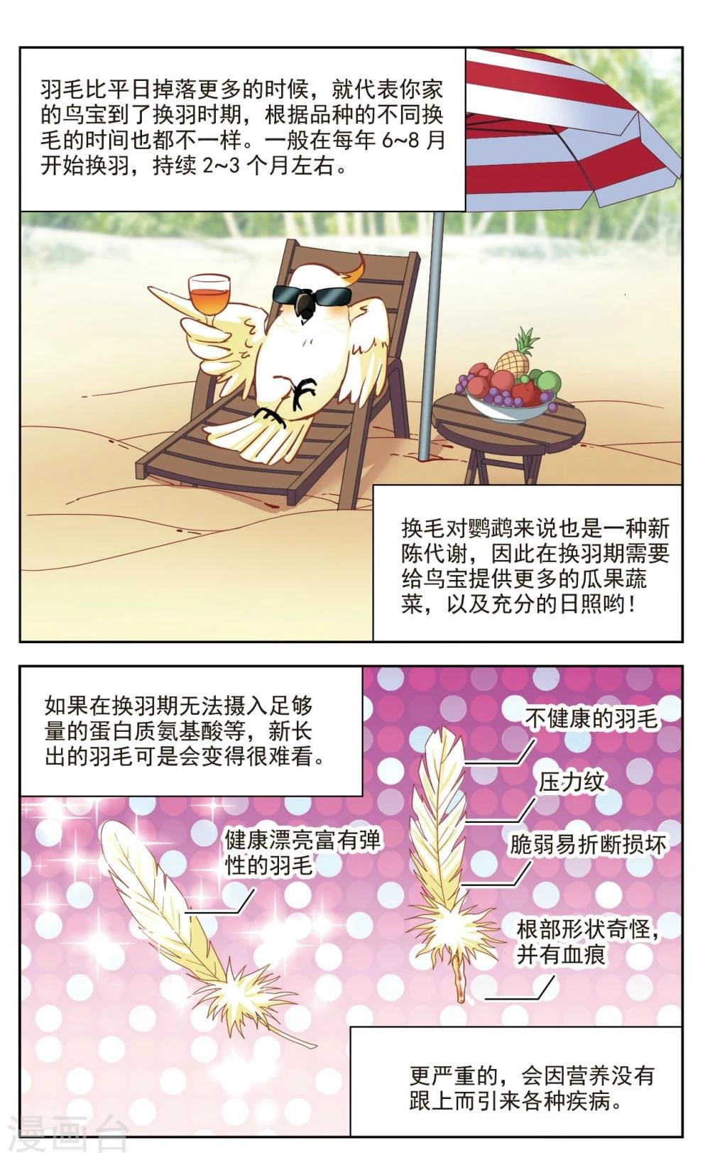第38话 新的开始3