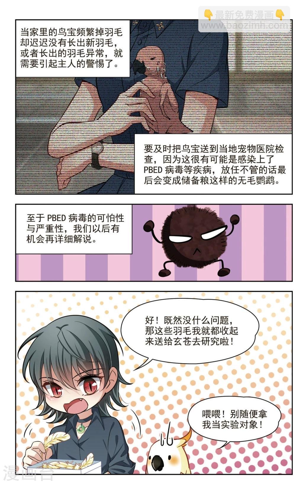 第38话 新的开始3