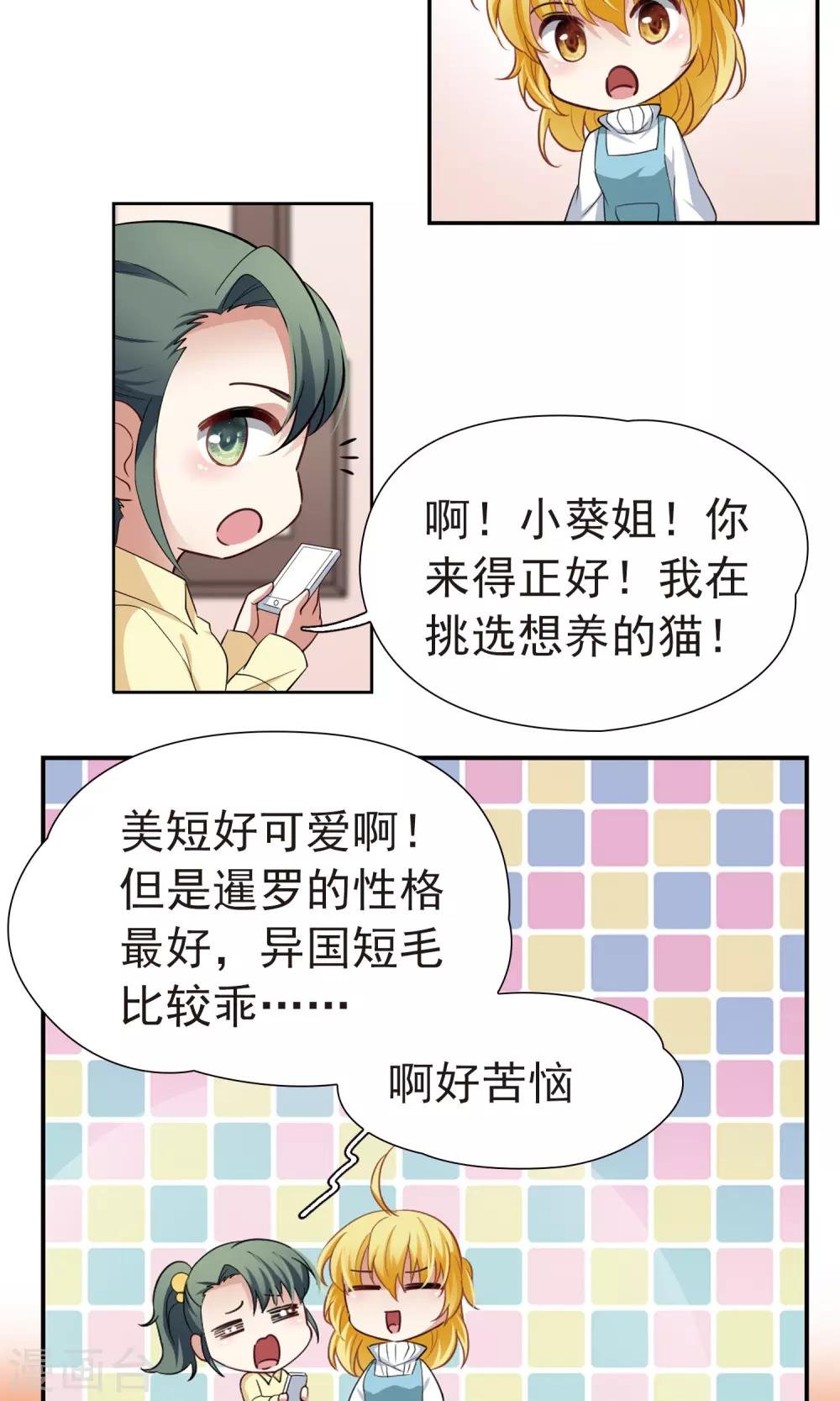 番外1 小百科