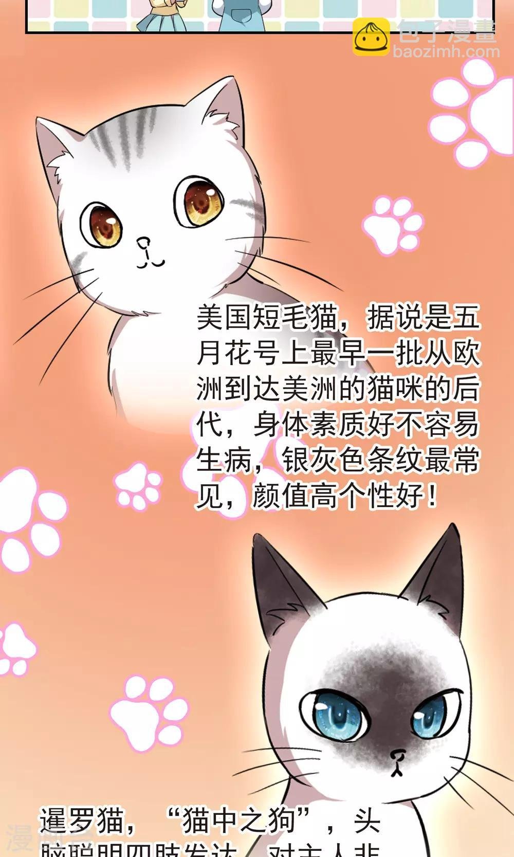 番外1 小百科
