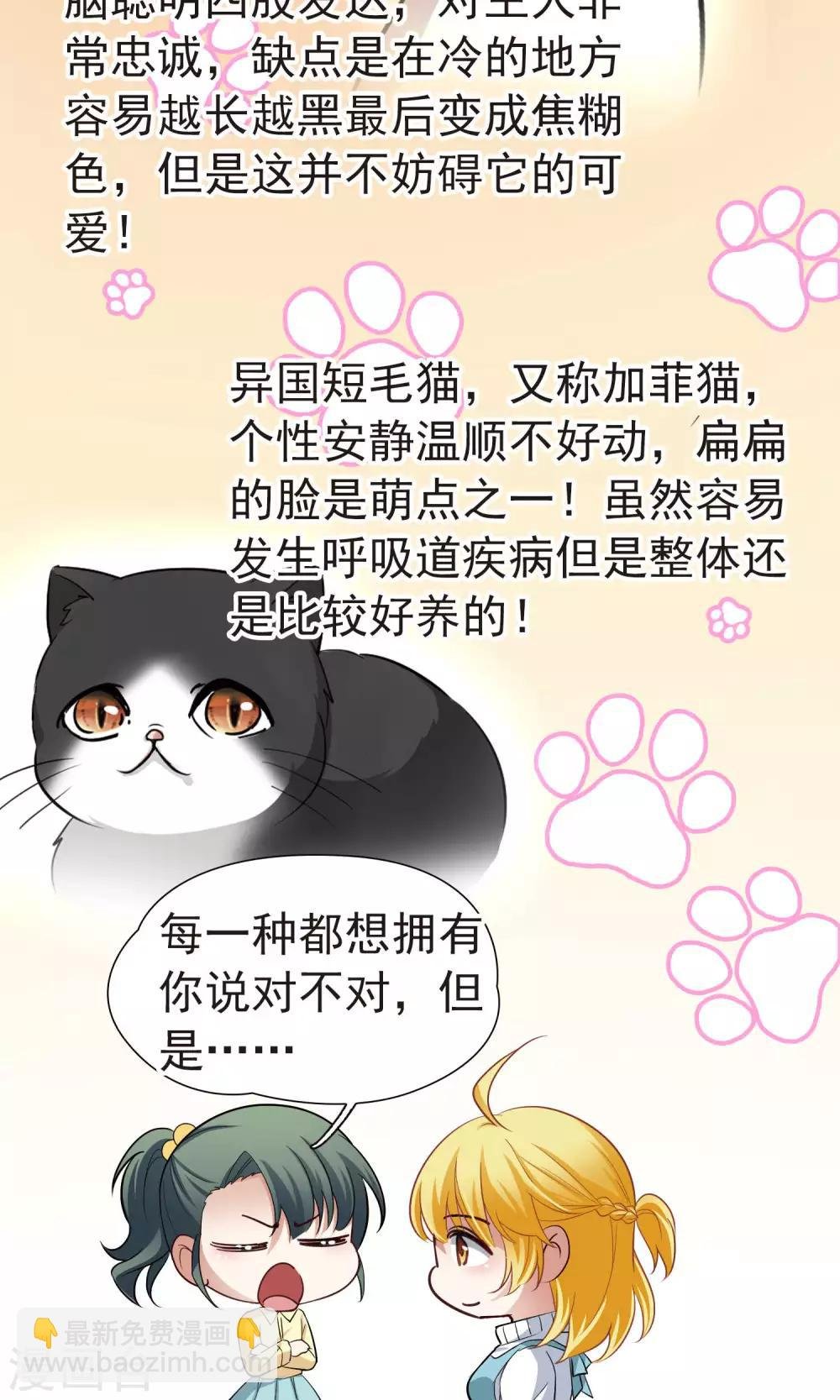 番外1 小百科