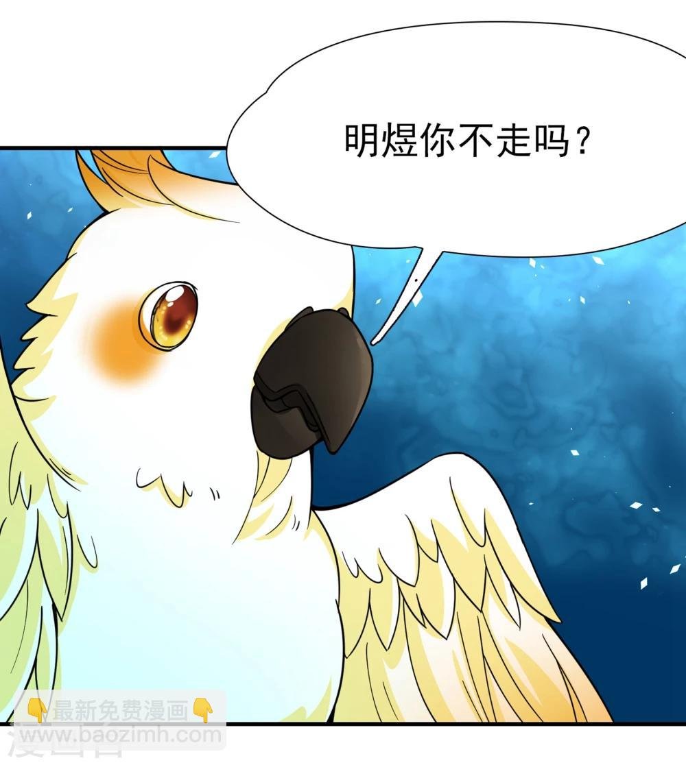最终话 南柯一梦