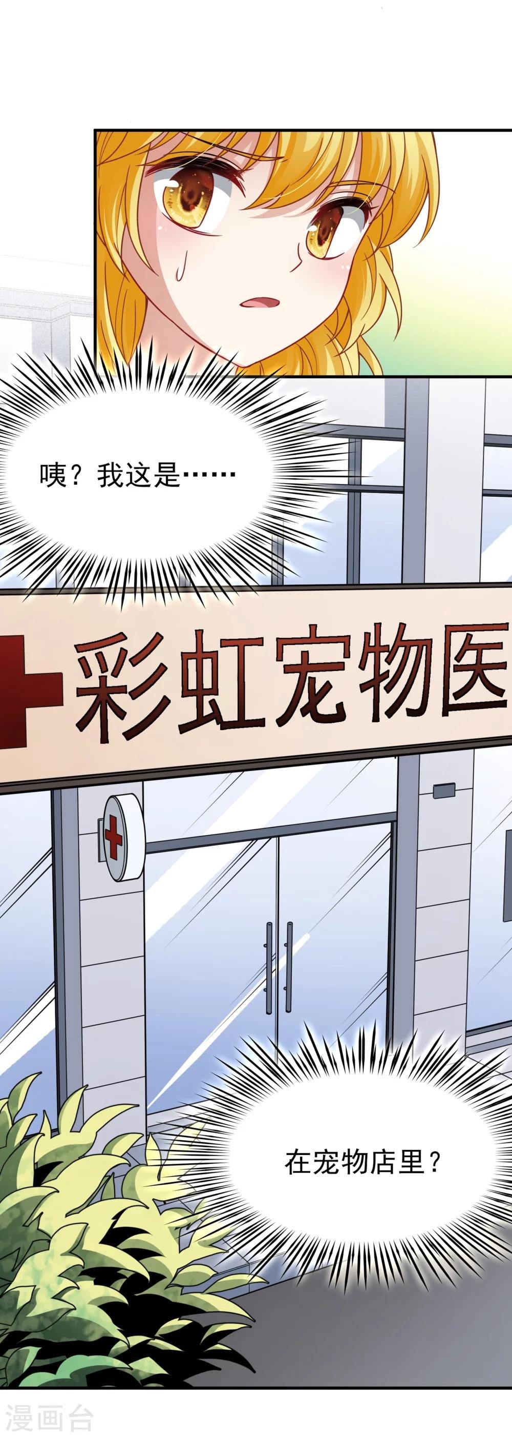 最终话 南柯一梦