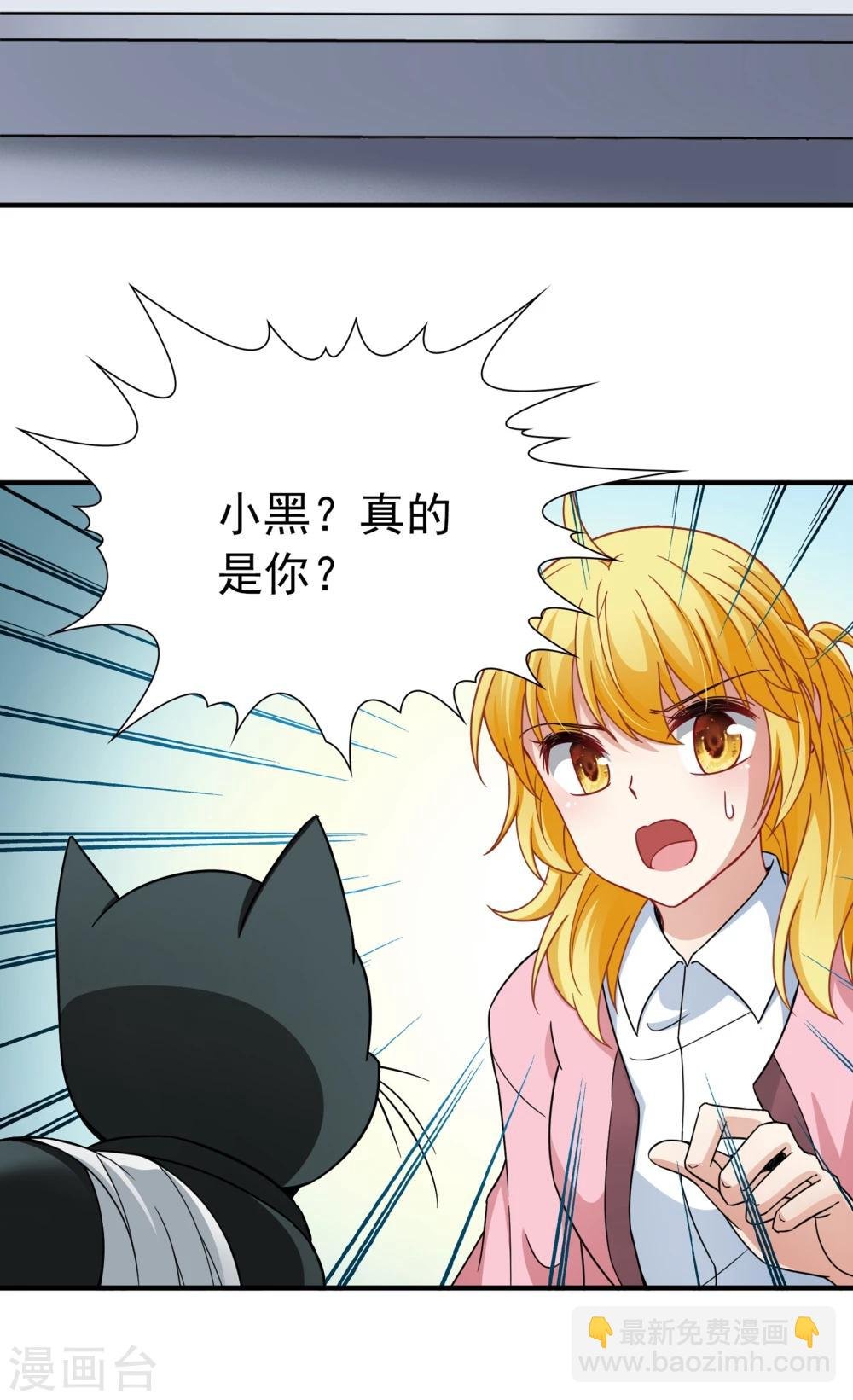 最终话 南柯一梦