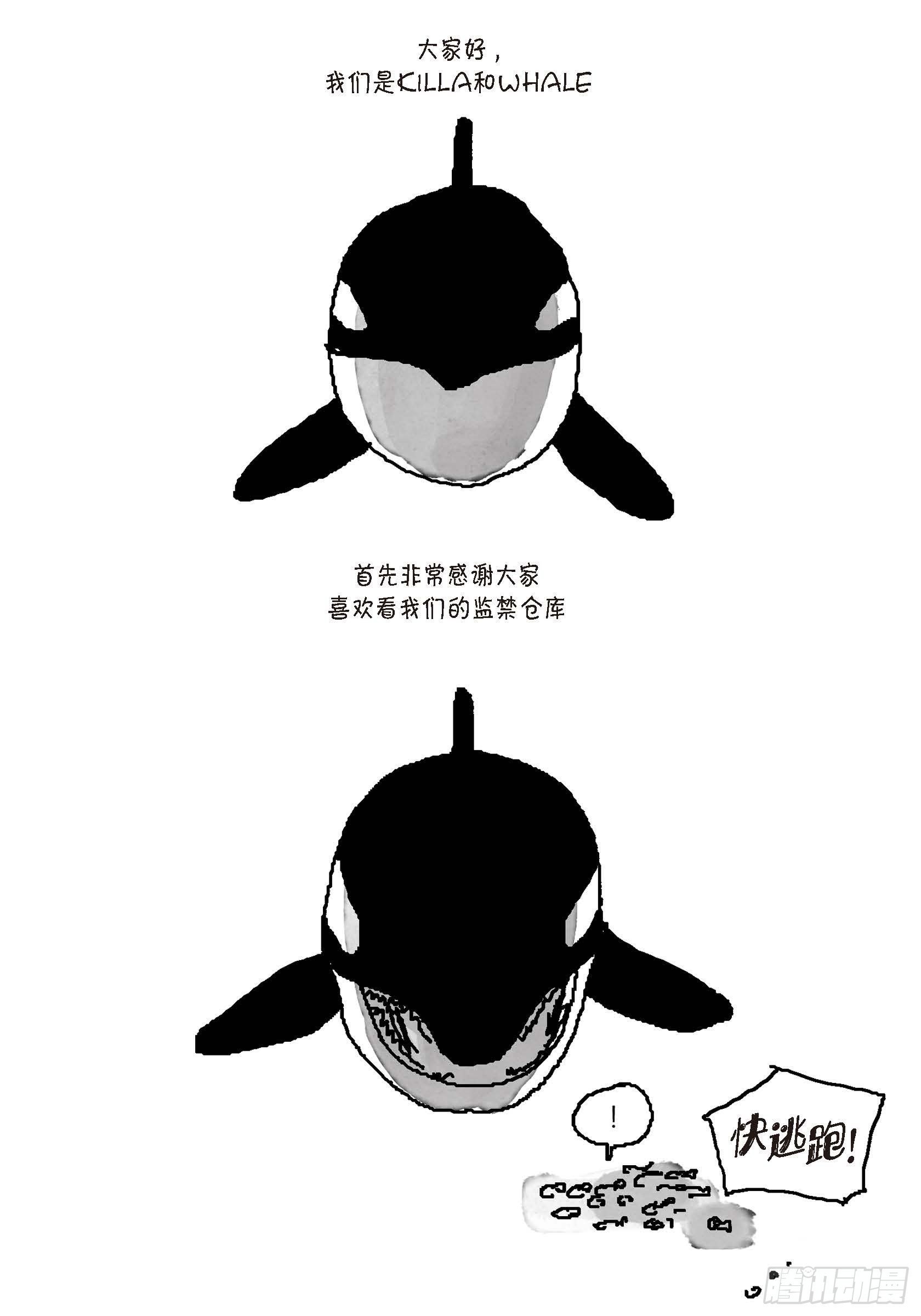 36.第一季后记
