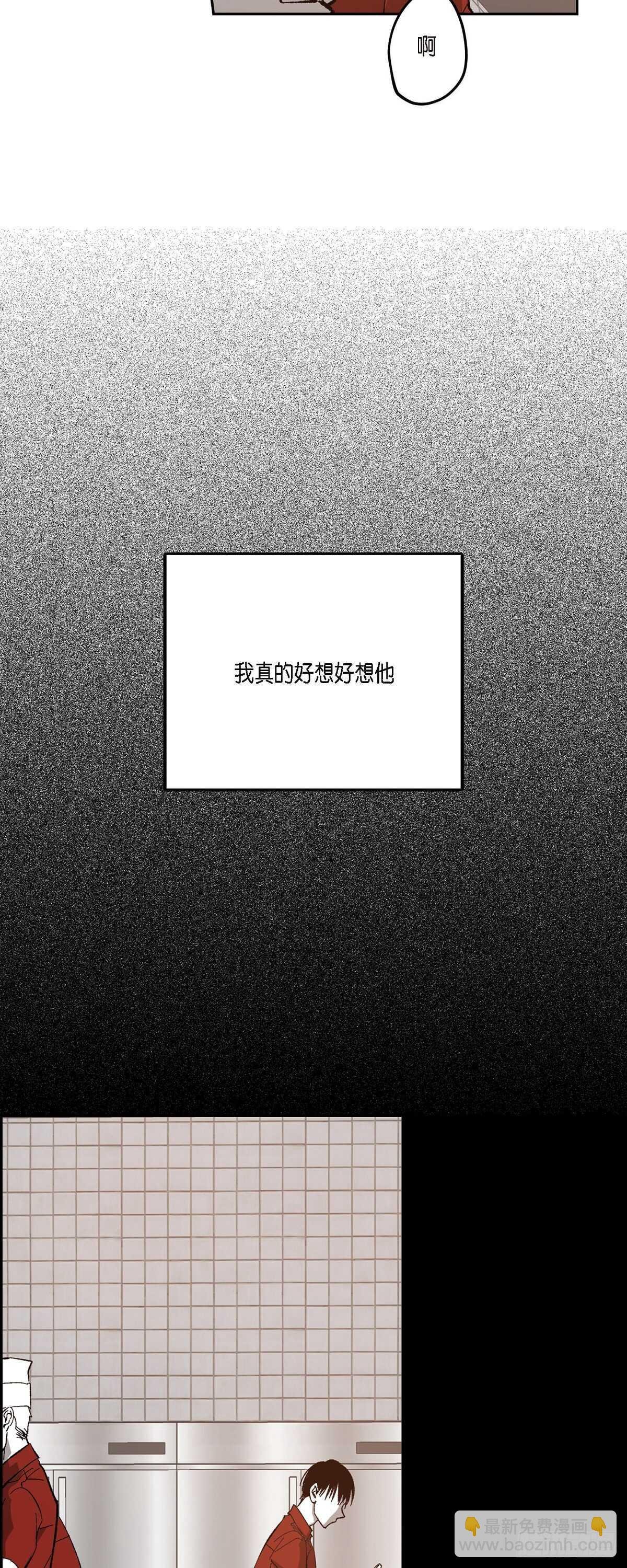 48.赢定了