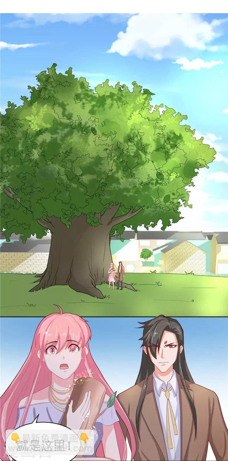 第31话 树妖的孩子