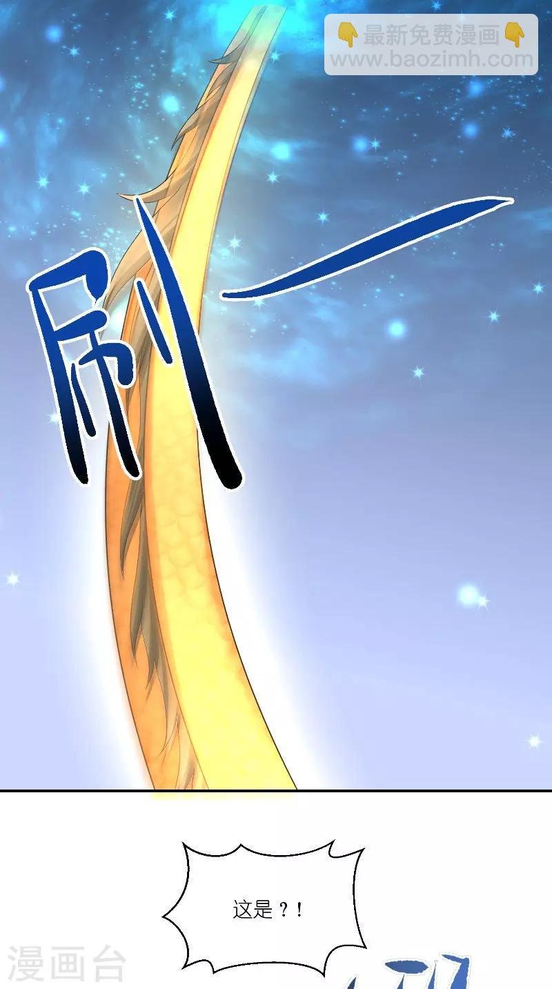 第71话 燃烧内丹