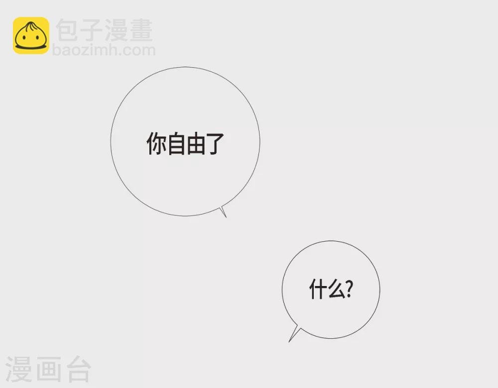 第20话 你自由了