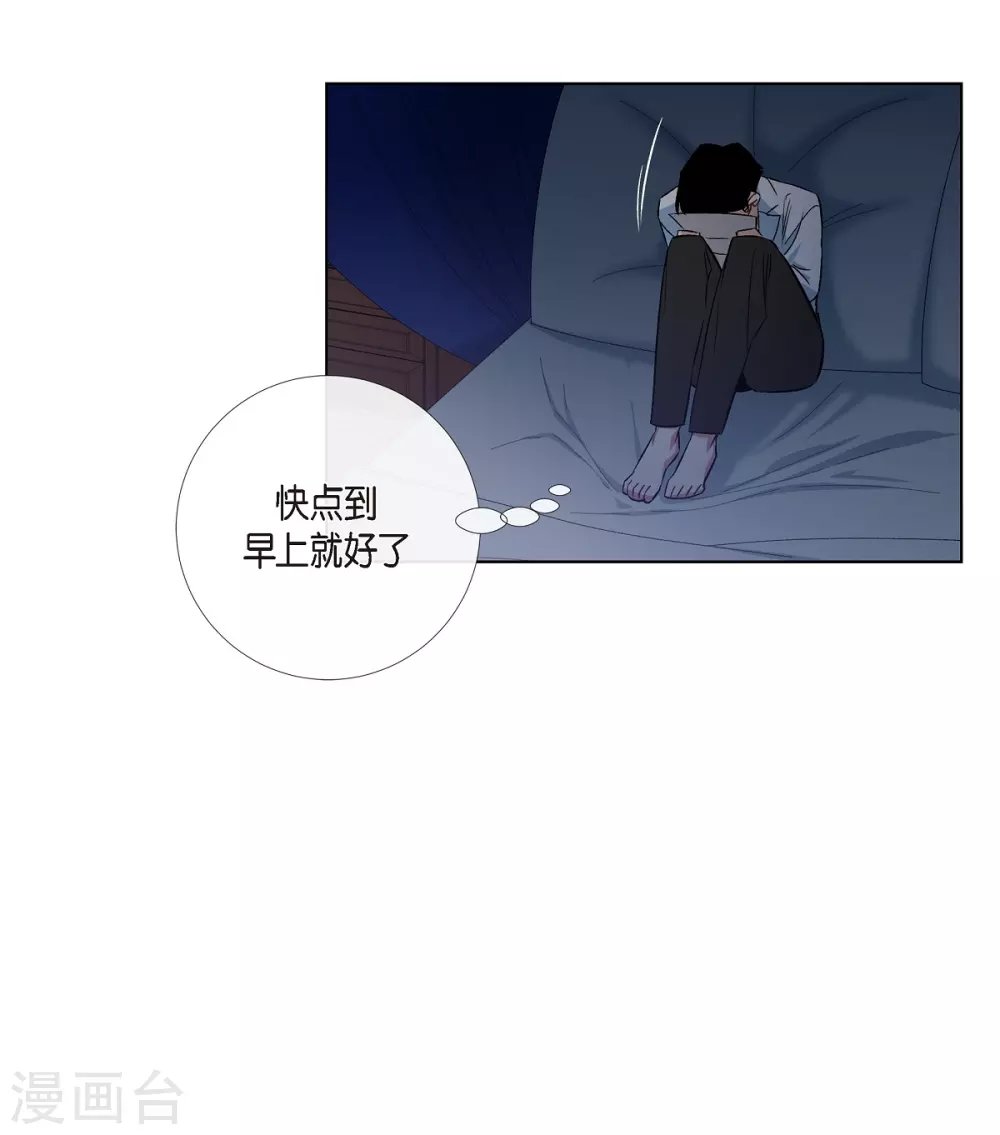 第43话 一直喜欢你