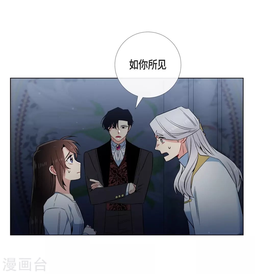 第49话 净化仪式