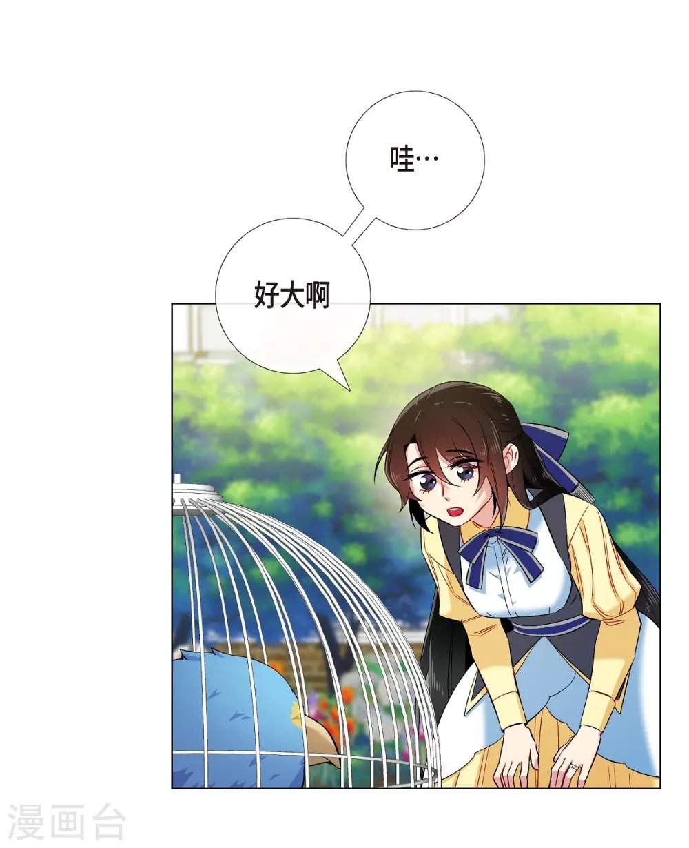 第60话 番外9