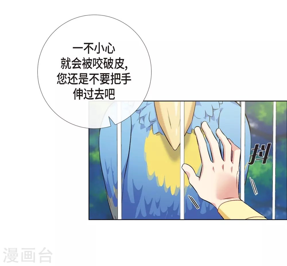 第60话 番外9