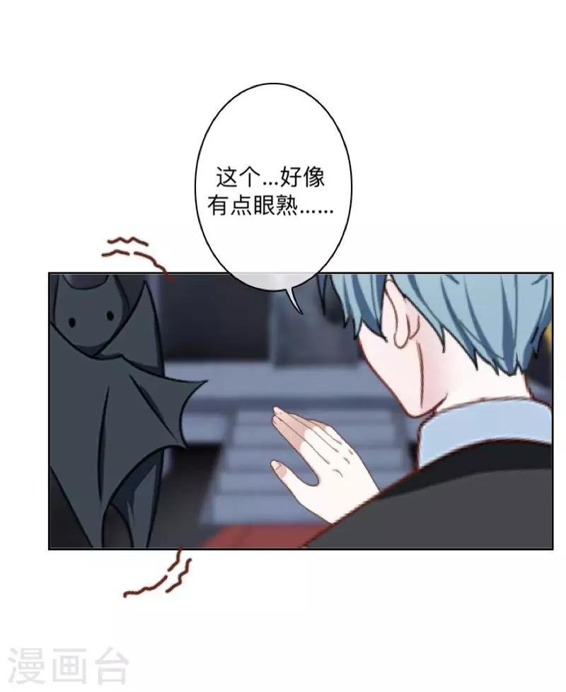 第22话 抱歉，小灵儿……