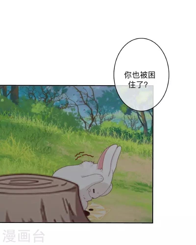 第35话 这鬼族是傻子吗？