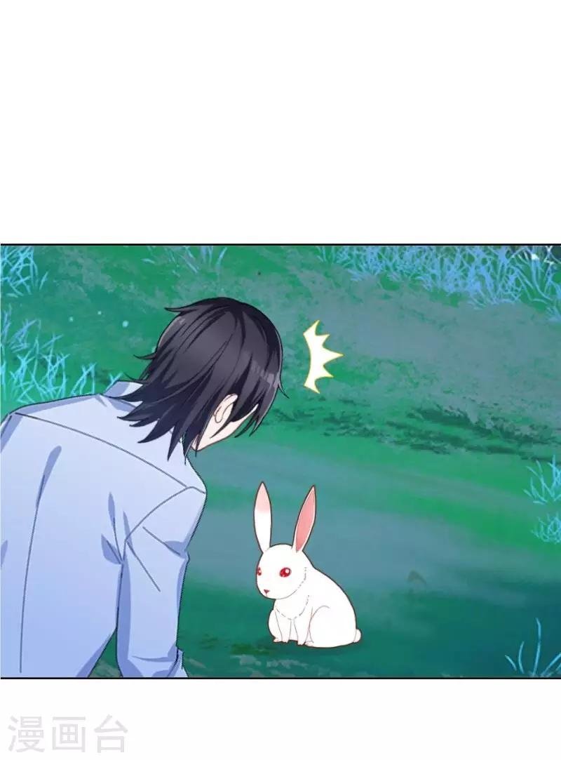 第35话 这鬼族是傻子吗？