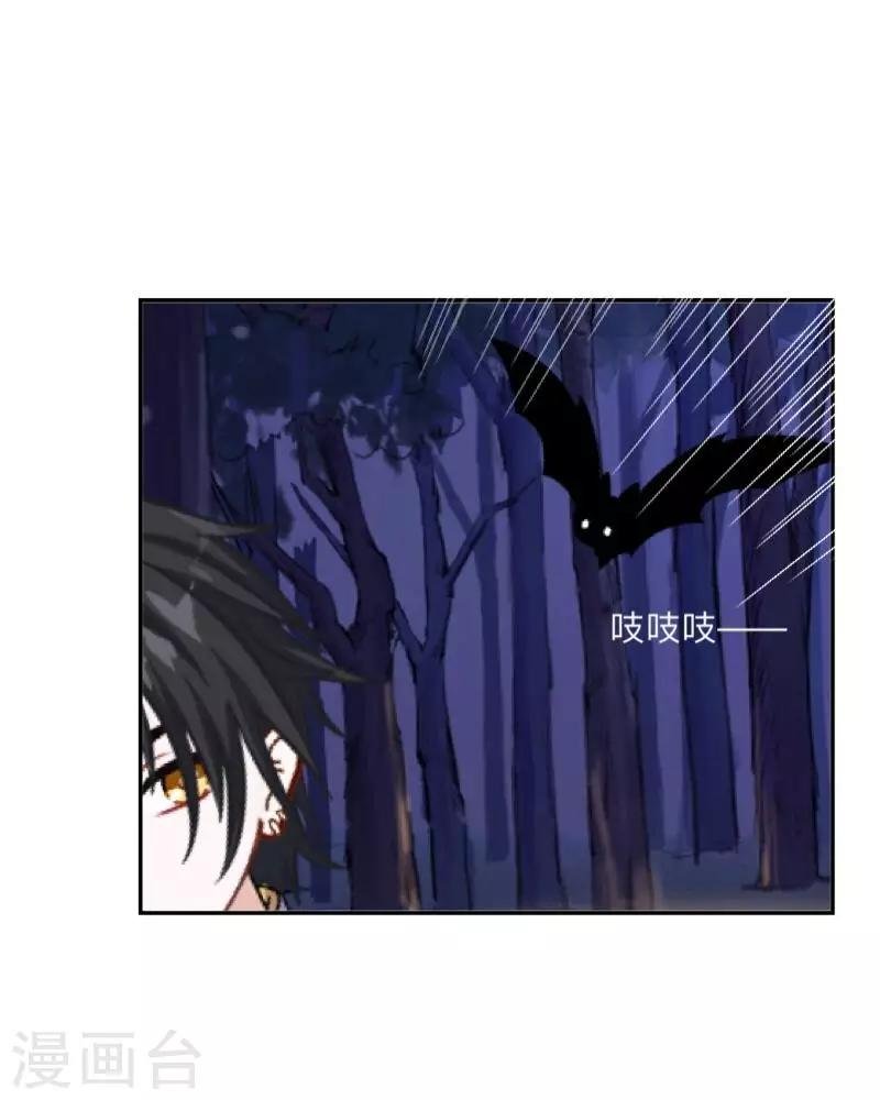 第35话 这鬼族是傻子吗？