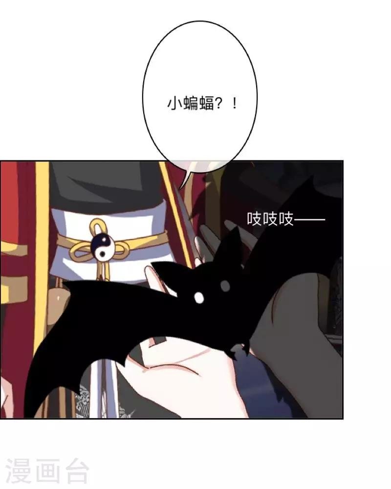 第35话 这鬼族是傻子吗？