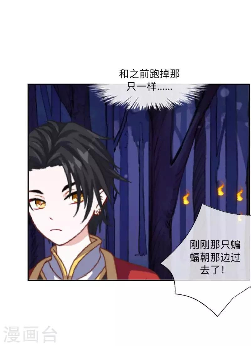 第35话 这鬼族是傻子吗？