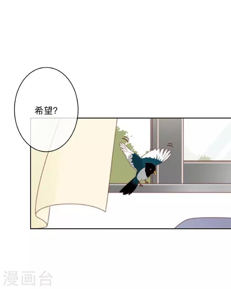 第44话 言希，你喜欢他