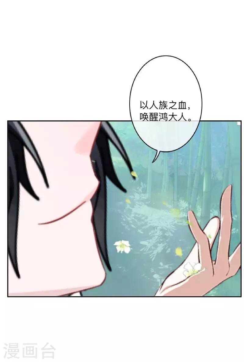 第48话 一触即发