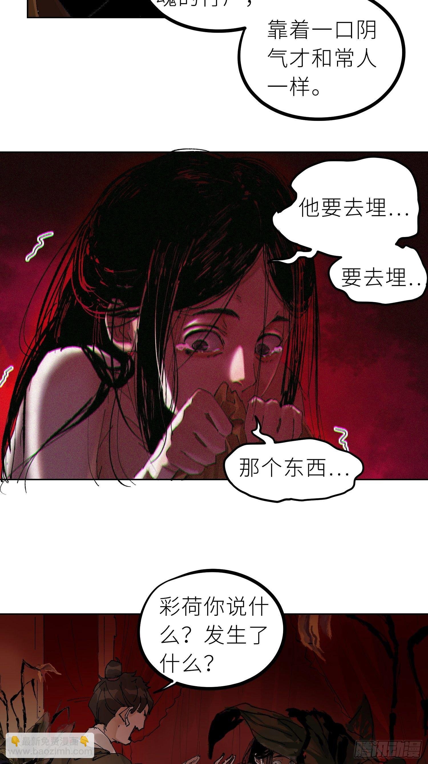 025美人蕉