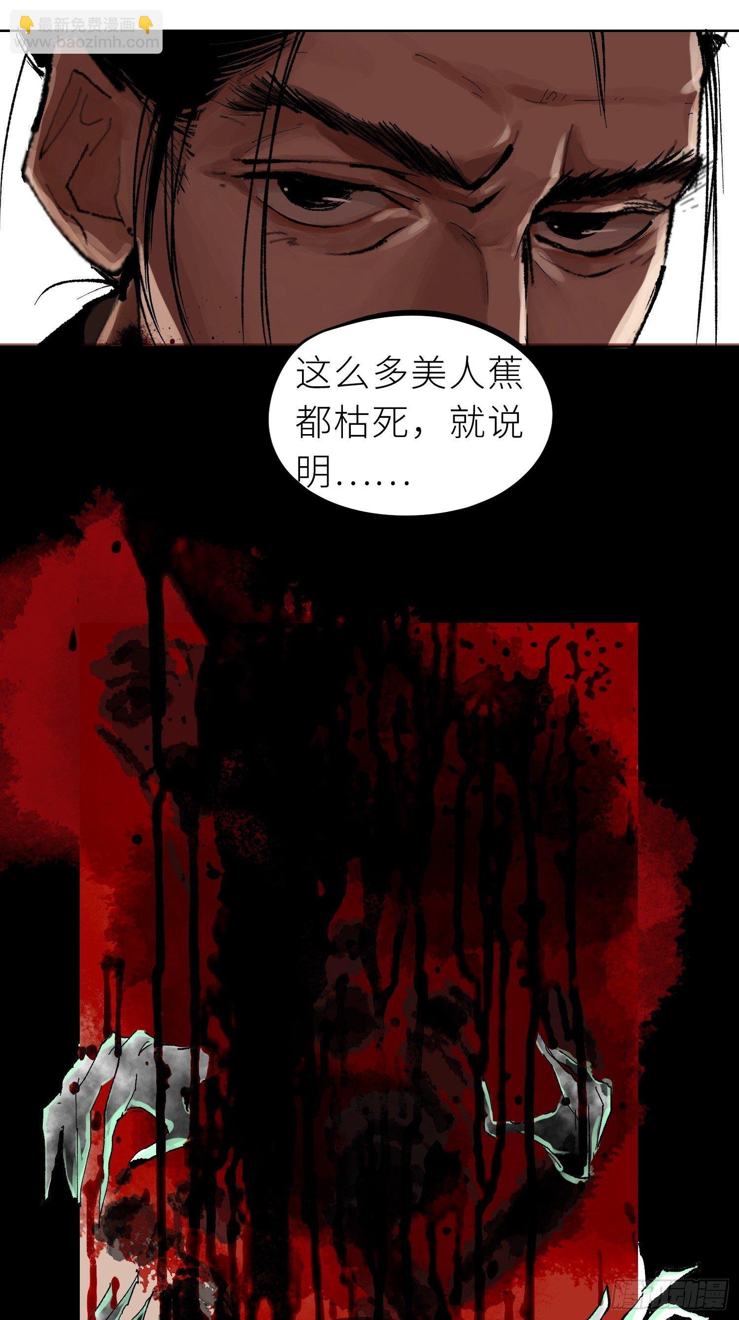 025美人蕉
