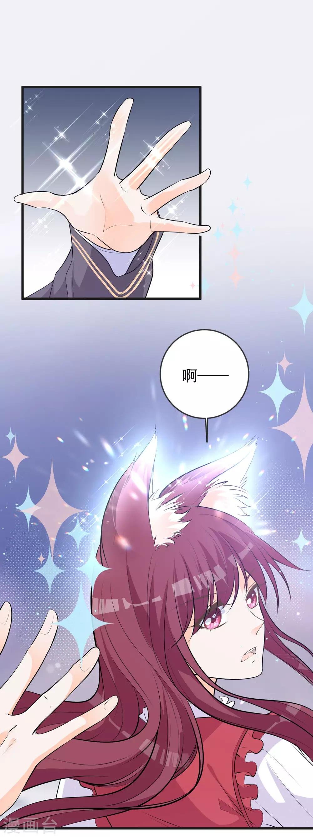 第23话 猫耳朵