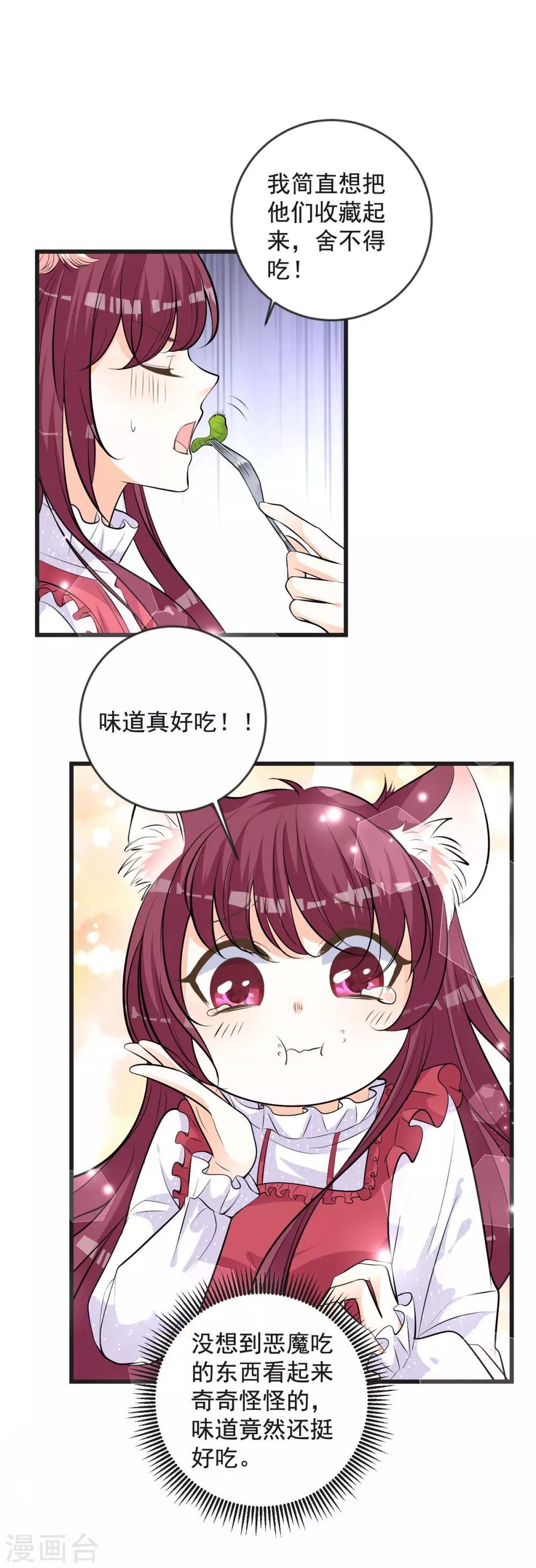 第23话 猫耳朵