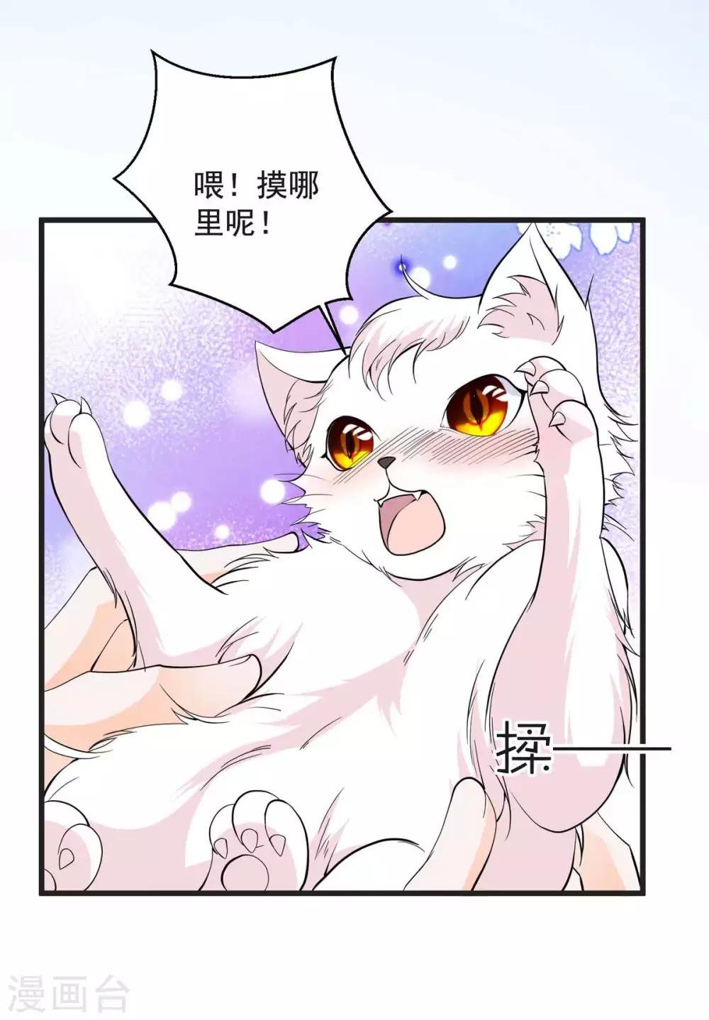 第24话 怀疑你是故意的