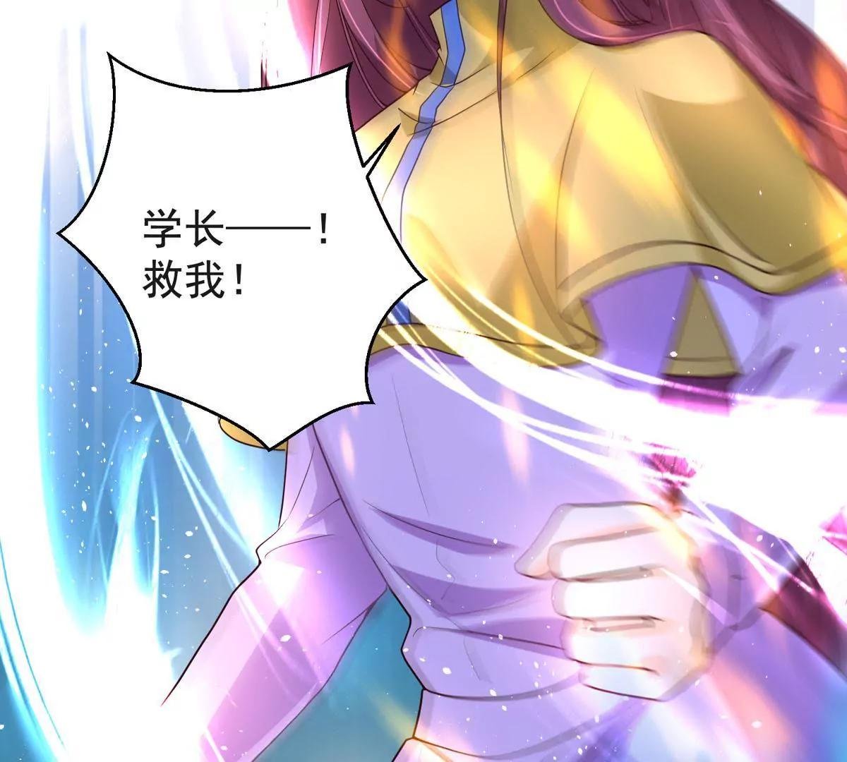 收藏品