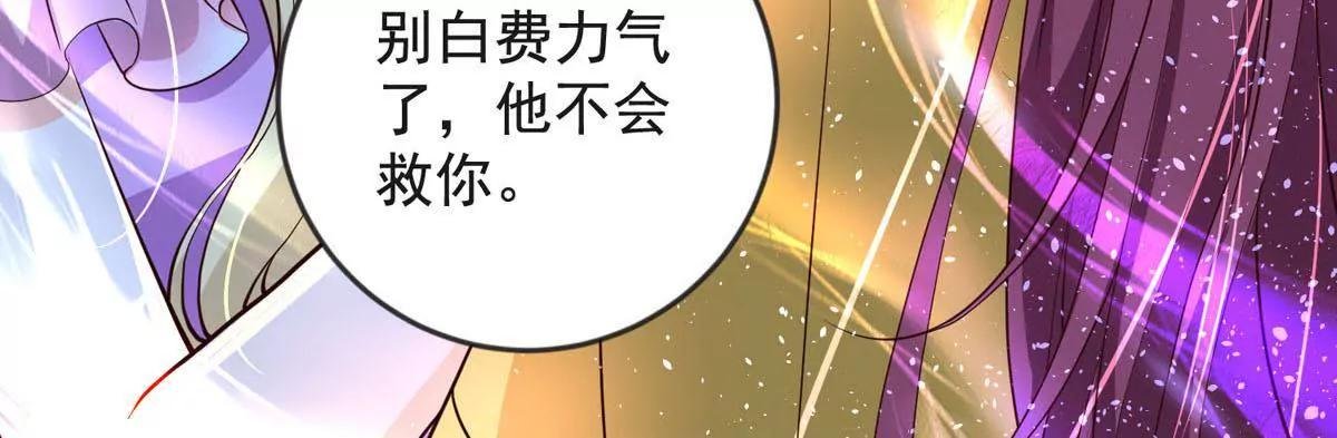 收藏品