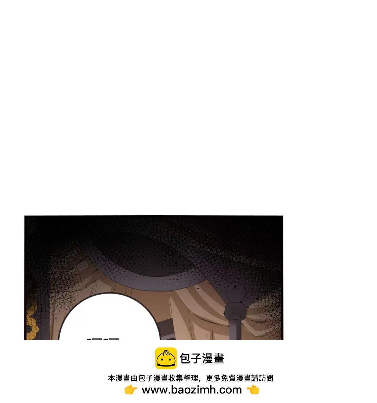 收藏品
