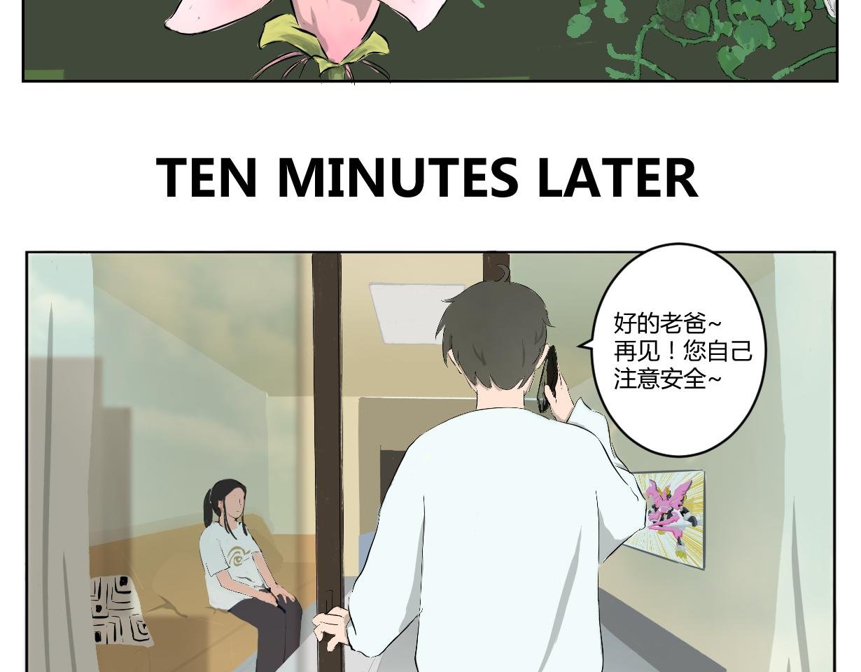 来历