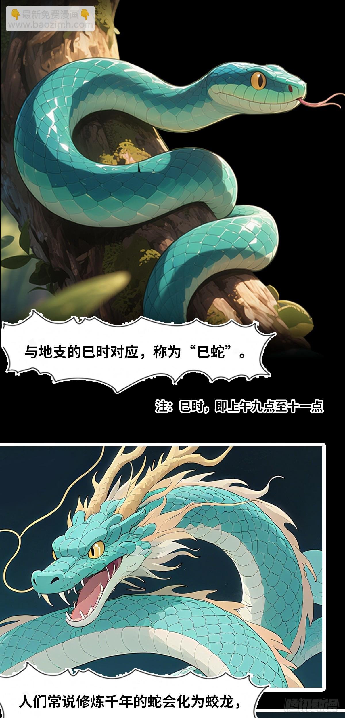 十二生肖秘密传·蛇