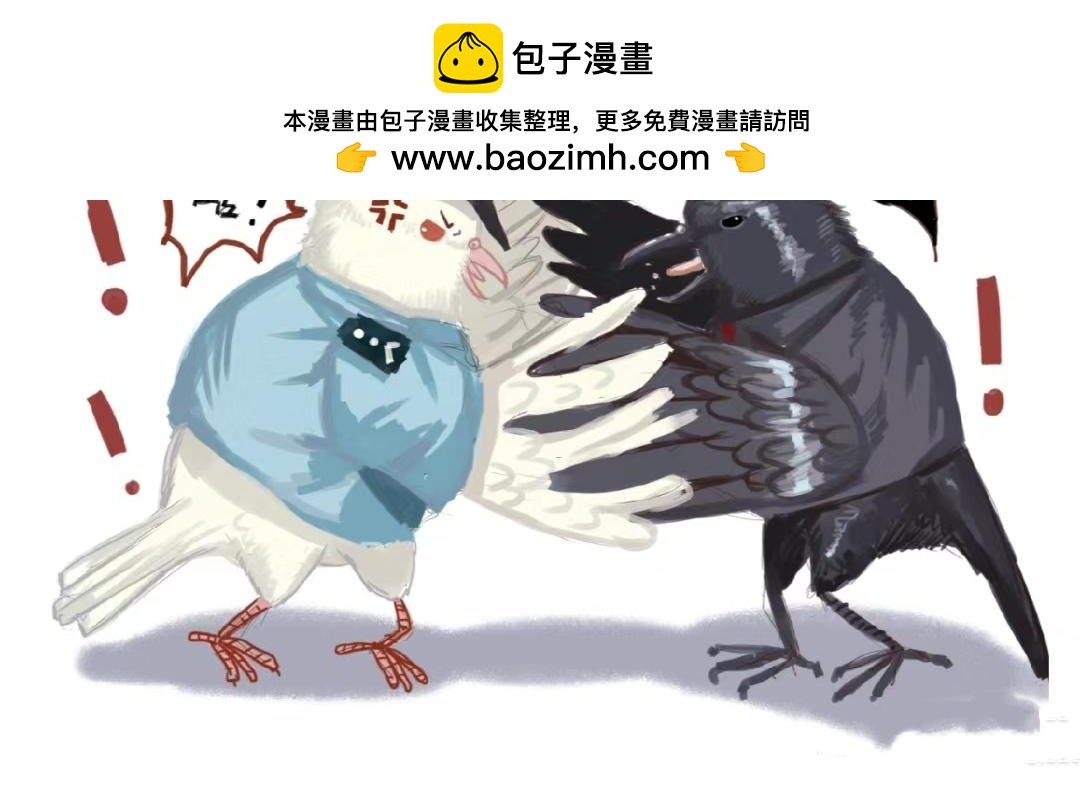 白鸽警探与乌鸦卧底