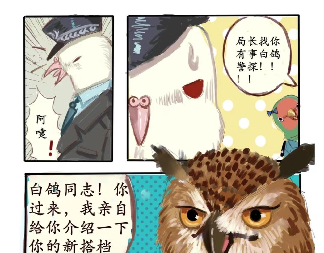 白鸽警探与乌鸦卧底