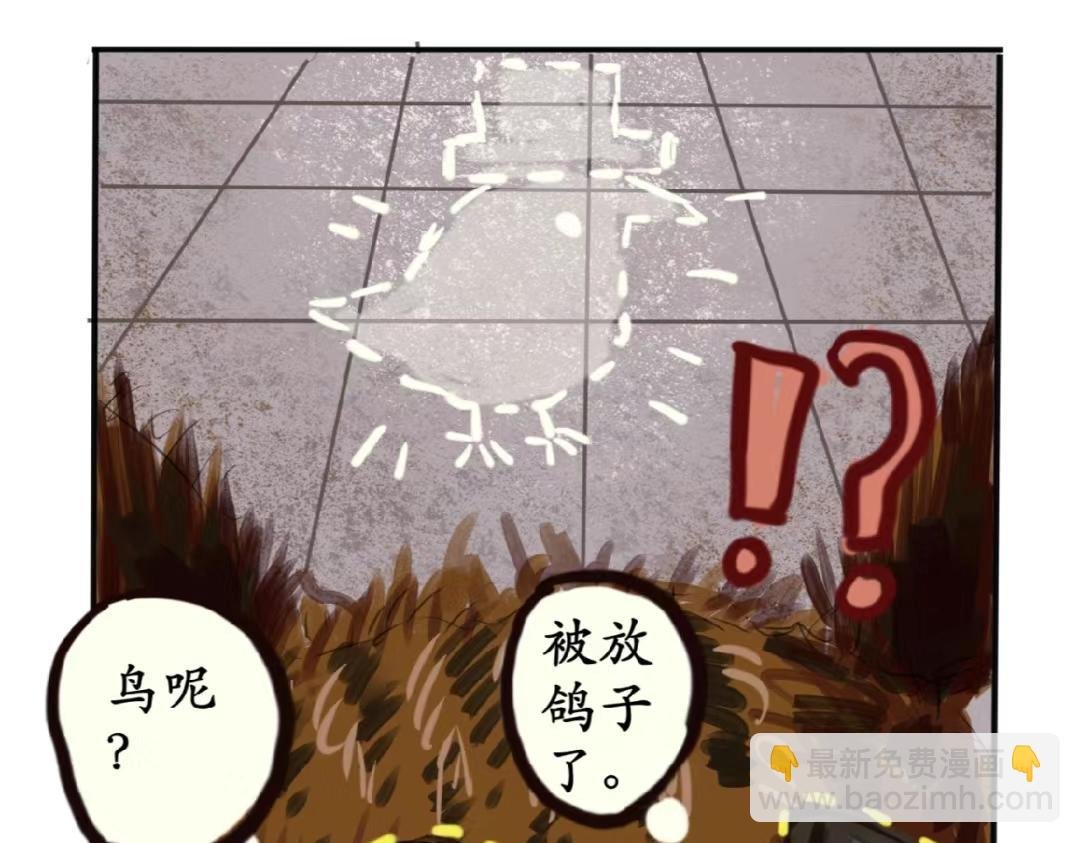 白鸽警探与乌鸦卧底