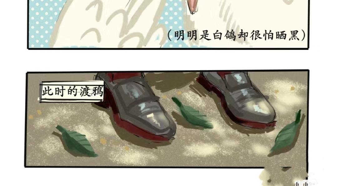 白鸽警探与乌鸦卧底