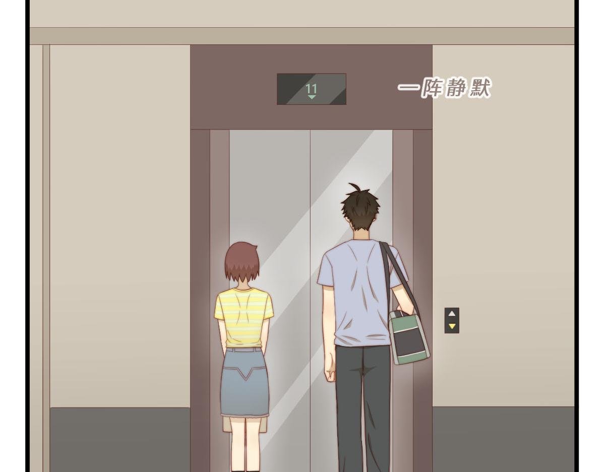 35.猫明星