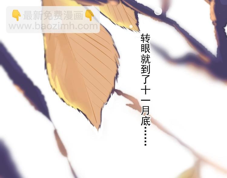 第11话 小猫咪和他