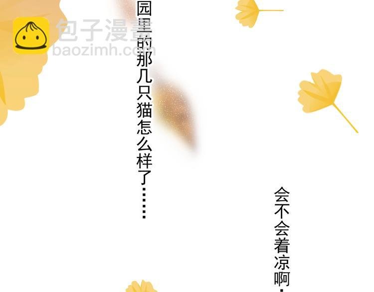 第11话 小猫咪和他