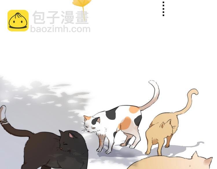 第11话 小猫咪和他