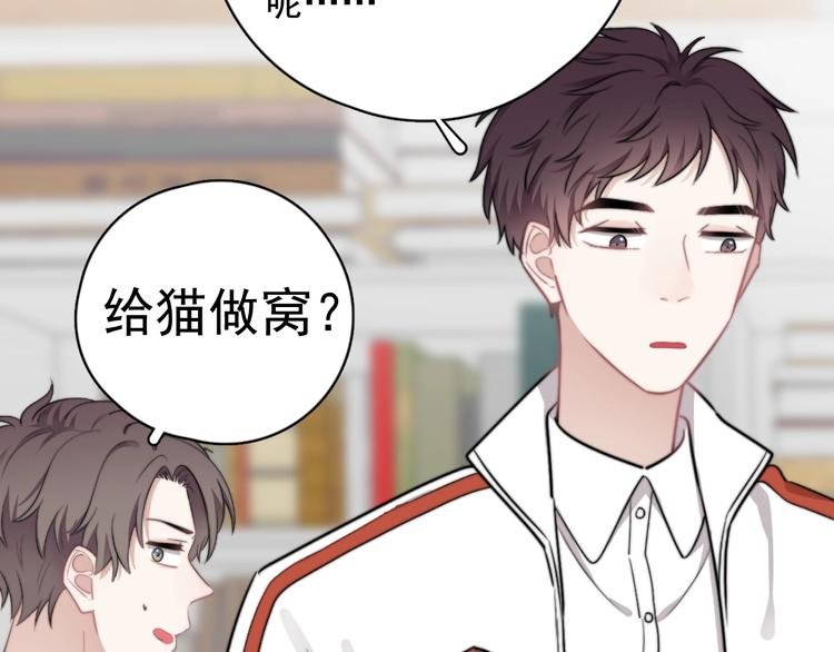 第11话 小猫咪和他
