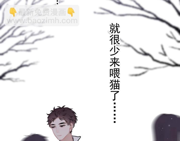 第11话 小猫咪和他